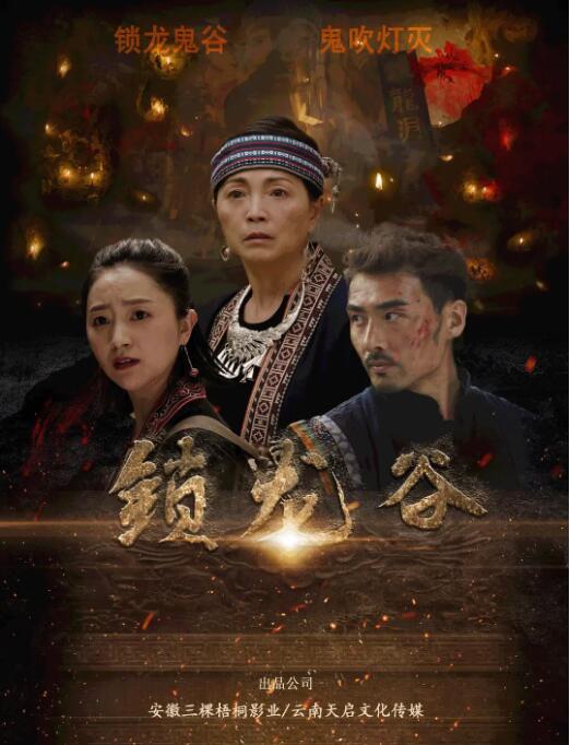 《善良岳母：我爱我的女婿》海报
